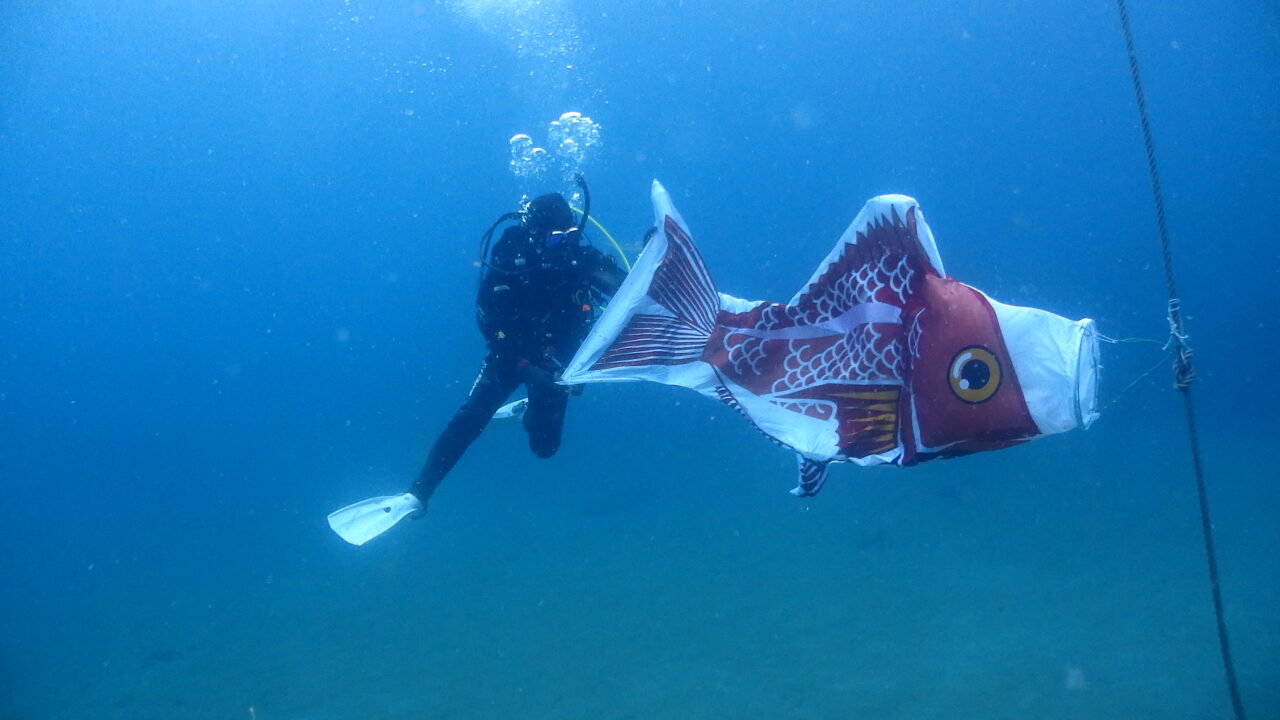 ダイブテリーズ