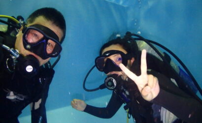 ダイブテリーズ